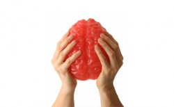 B-zombie-gift-huge-gummy-brain