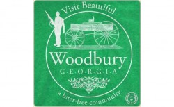 b-Walking-Dead-T-Shirt-Visit_Woodbury_T_SHIRT_detail