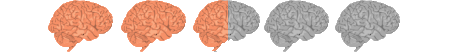 2pt5outof5brains