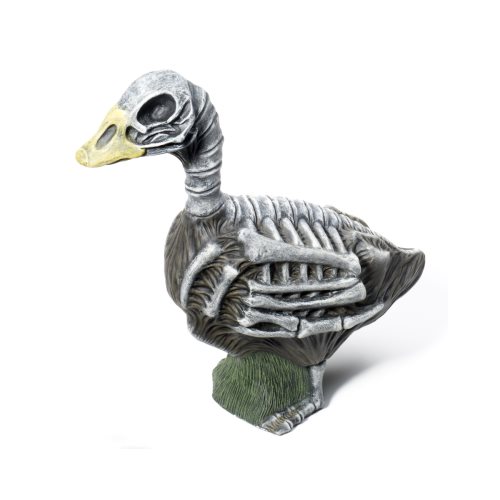 Zombie Goose
