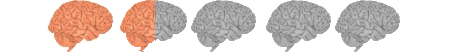 1.5outof5brains