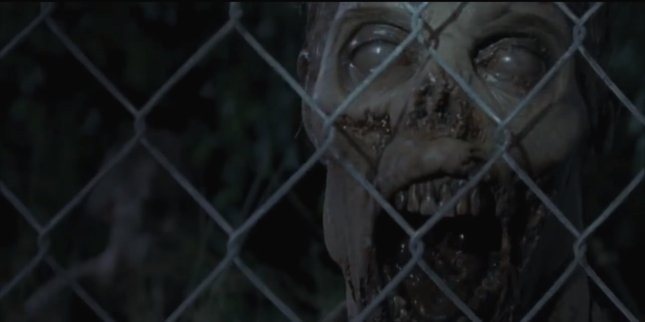 Walking Dead Season 4 Trailer